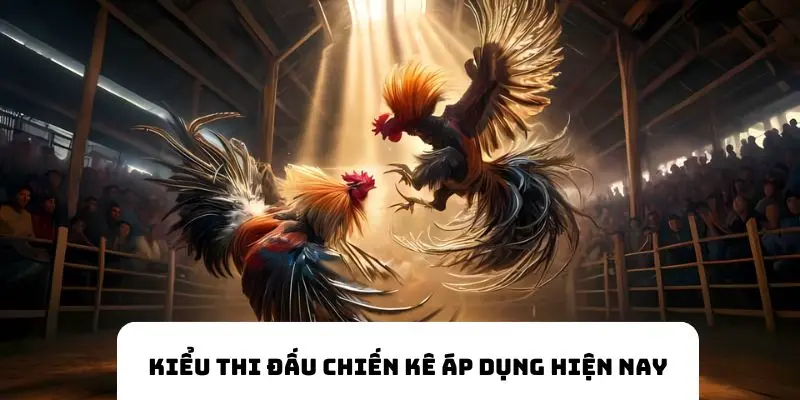 Kiểu thi đấu mà các chiến kê đang áp dụng hiện nay
